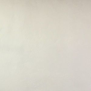 Meet your Posher, Connie